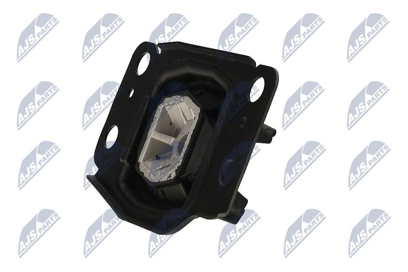 Paigutus, Mootor, NTY ZPS-FR-036