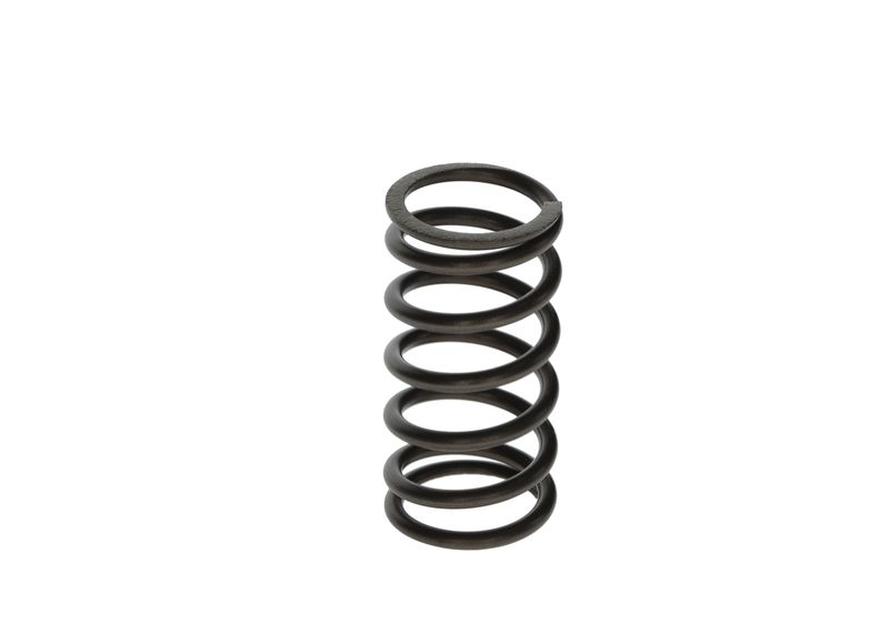 BOSCH F00N201853 Spring