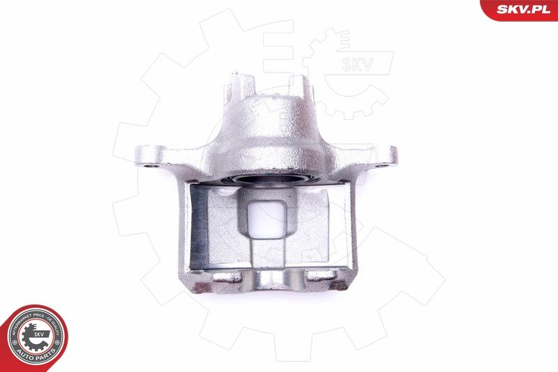 ESEN SKV 45SKV821 Brake Caliper