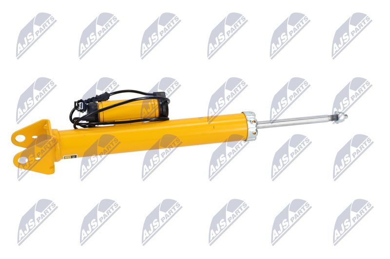 Amort, NTY A-CH-102