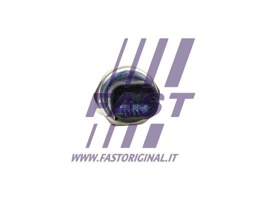 FT54307_2_1.JPG