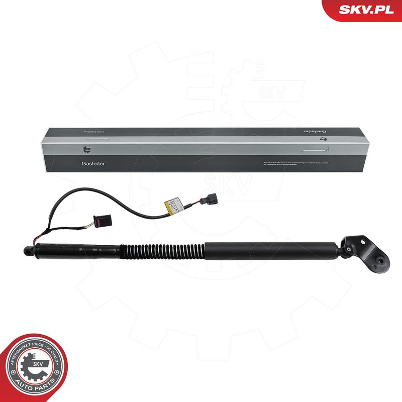 Elektrimootor, tagaluuk, ESEN SKV 52SKV874