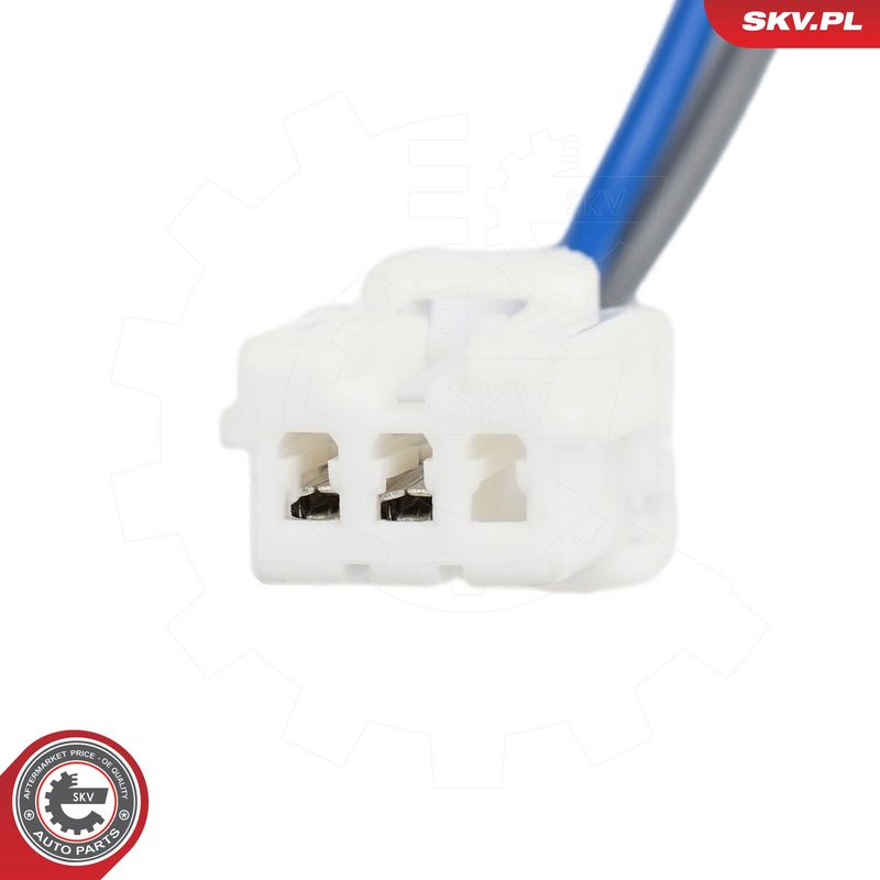 Ukselukk, ESEN SKV 60SKV483