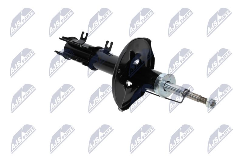 Amort, NTY A-CH-053
