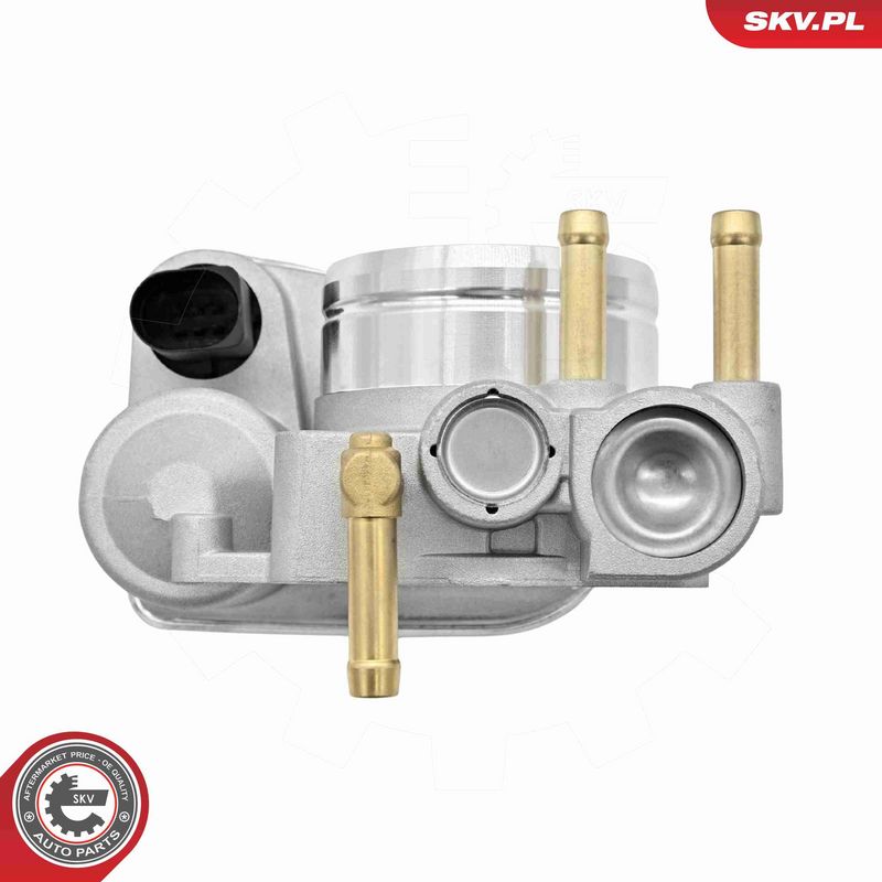 ESEN SKV 12SKV189 Throttle Body