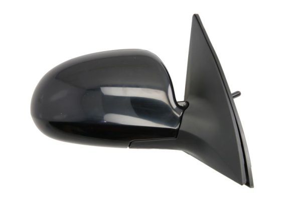 BLIC 5402-20-2002844P Exterior Mirror