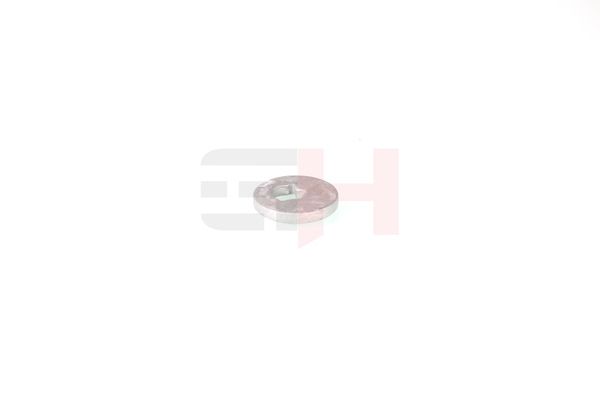 caster shim, sillatala, GH GH-391583