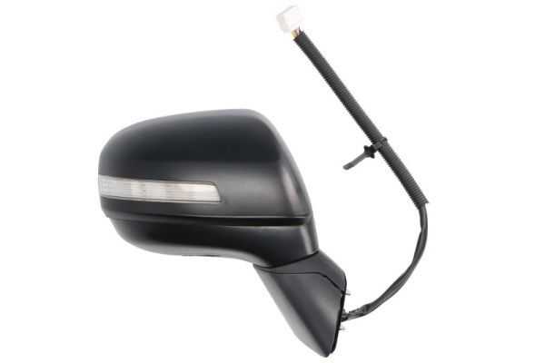 BLIC 5402-12-0461313P Exterior Mirror