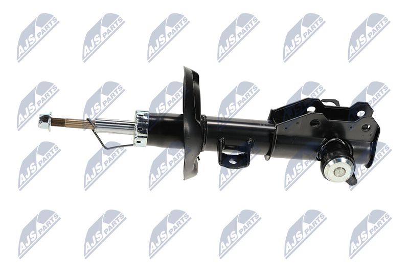 Amort, NTY A-PL-062
