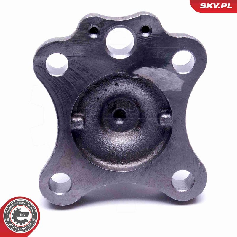 ESEN SKV 29SKV995 Wheel Bearing Kit
