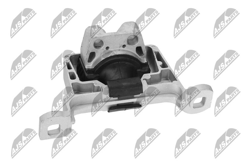 Paigutus, Mootor, NTY ZPS-FR-045