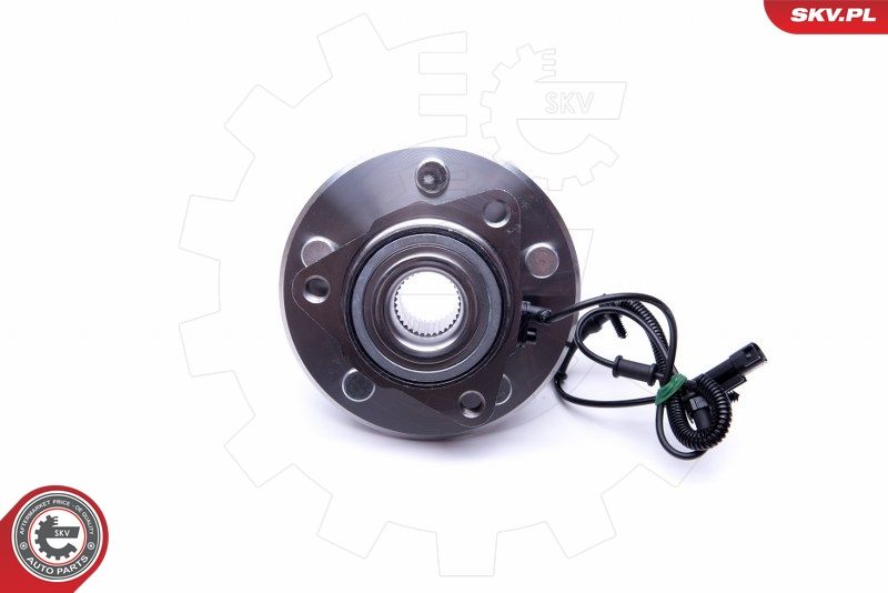 ESEN SKV 29SKV318 Wheel Bearing Kit