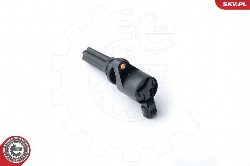 SKV_03SKV244_WM_01.JPG