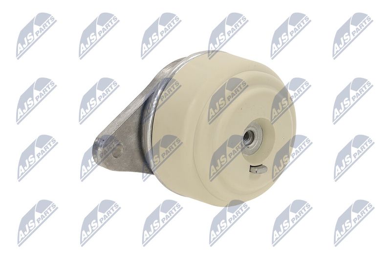 Paigutus, Mootor, NTY ZPS-ME-076