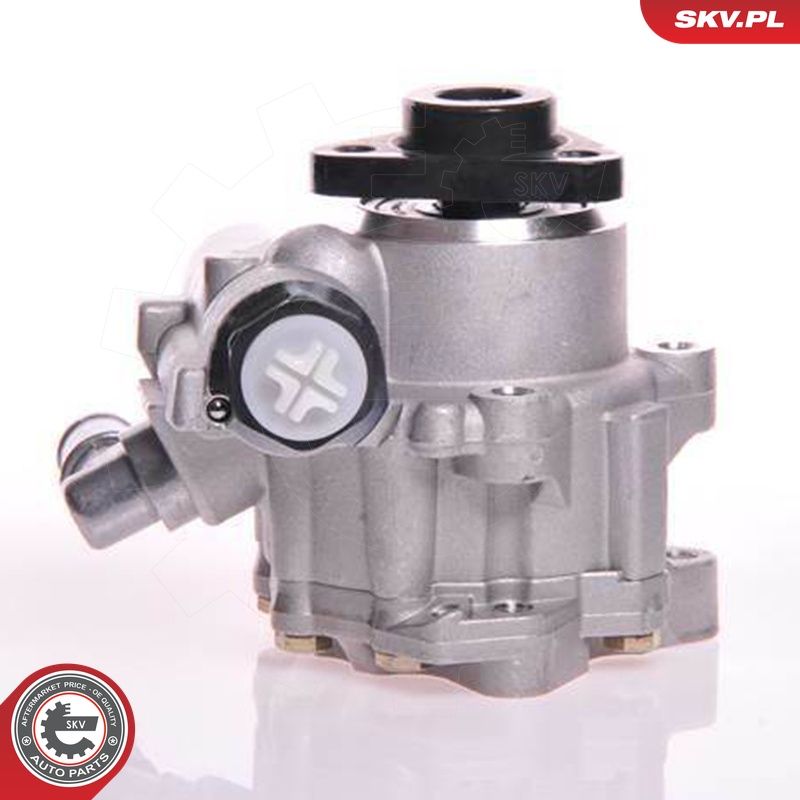 Hüdraulikapump, roolimine, ESEN SKV 10SKV102