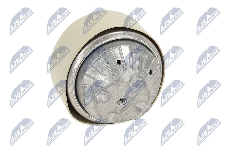 Paigutus, Mootor, NTY ZPS-ME-100