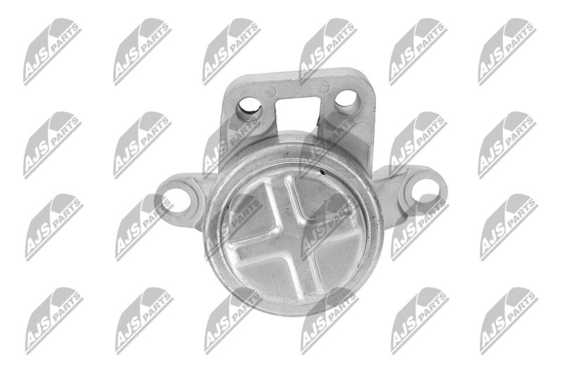 Paigutus, Mootor, NTY ZPS-FR-033