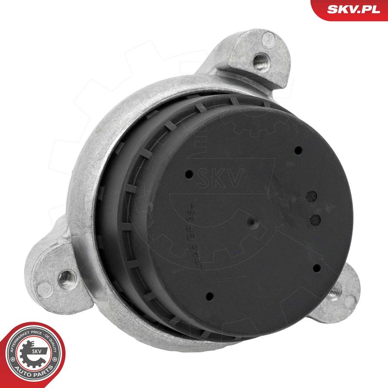 Paigutus, Mootor, ESEN SKV 75SKV326