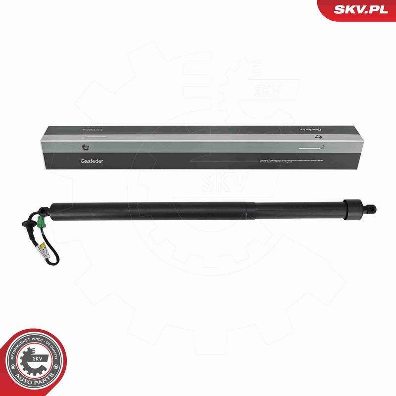 ESEN SKV 52SKV885 - Electric Motor, tailgate