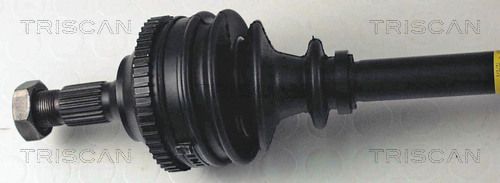 854038560_2.JPG