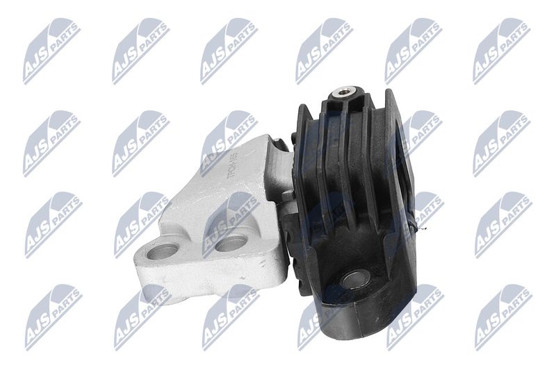 Paigutus, Mootor, NTY ZPS-CH-165