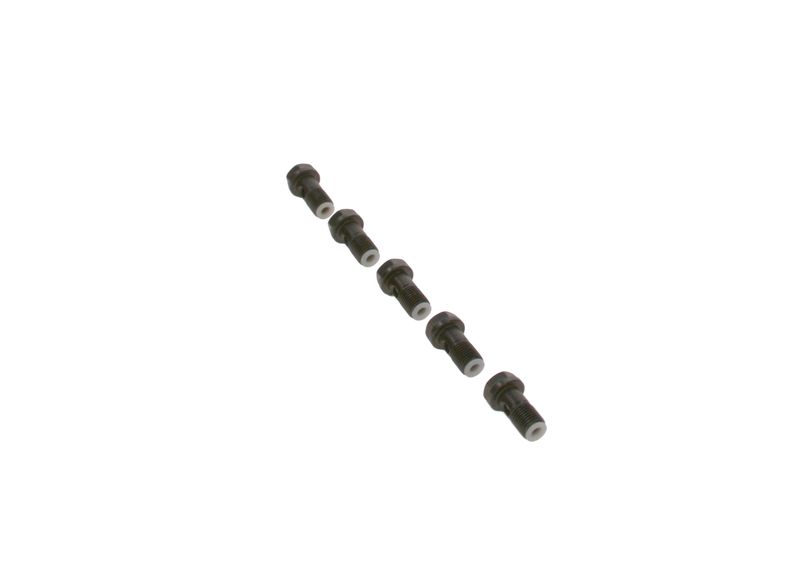 Surub F 019 D01 024 BOSCH