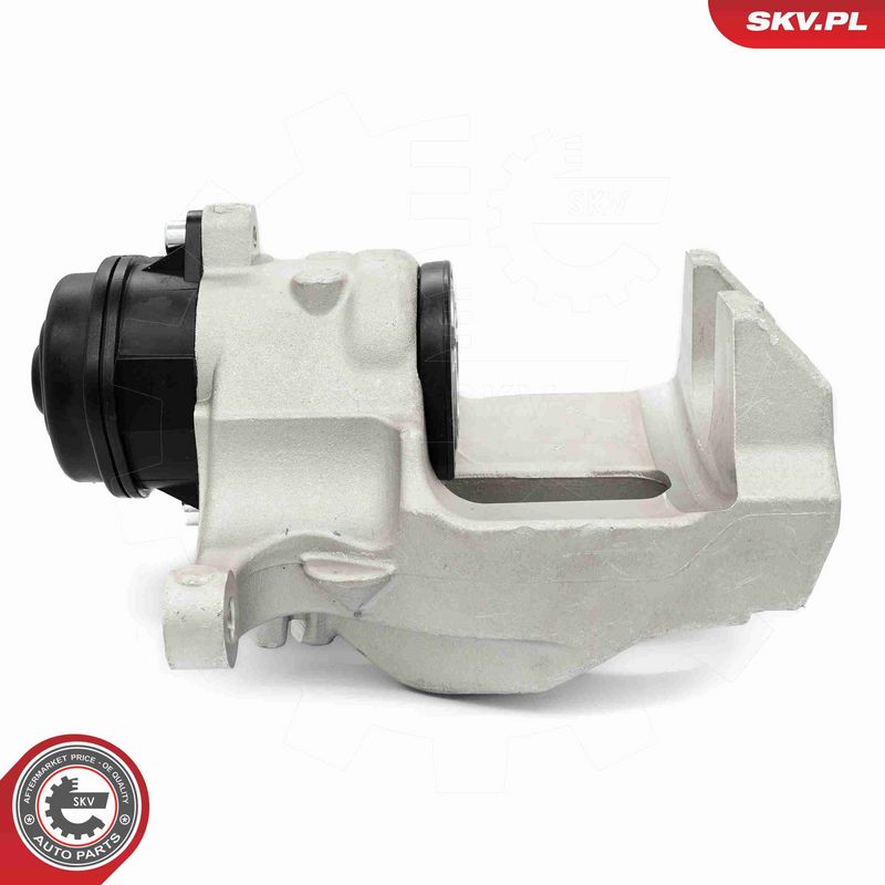 ESEN SKV 56SKV493 Brake Caliper