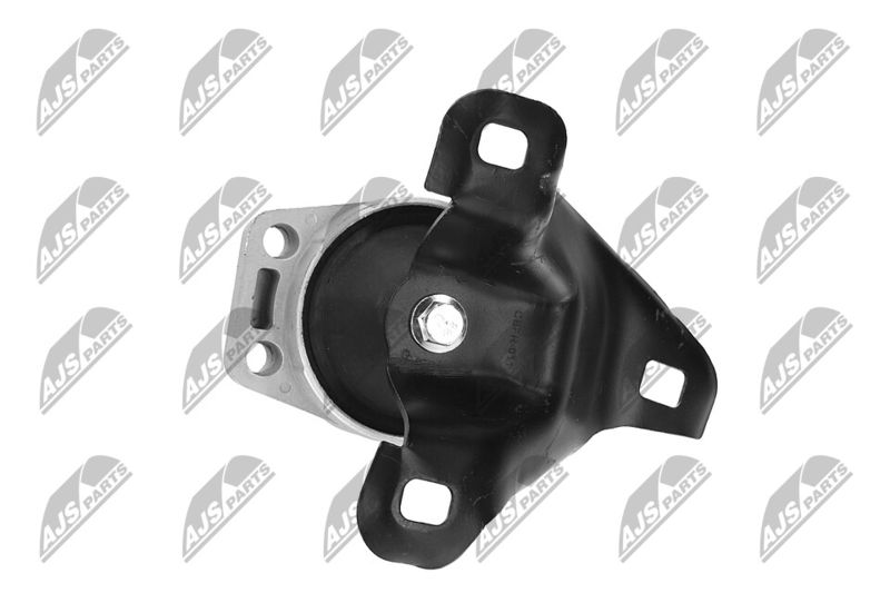 Paigutus, Mootor, NTY ZPS-FR-011