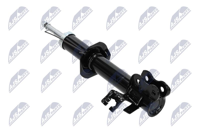 Amort, NTY A-NS-008