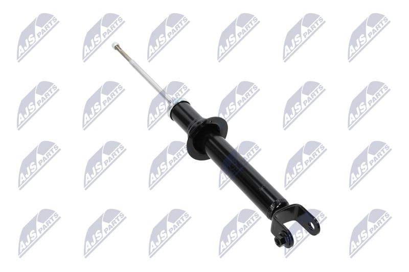Amort, NTY A-CH-054