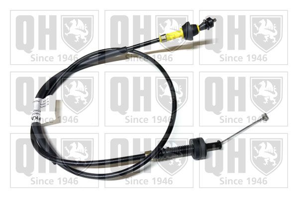 QH_QTC5014.JPG