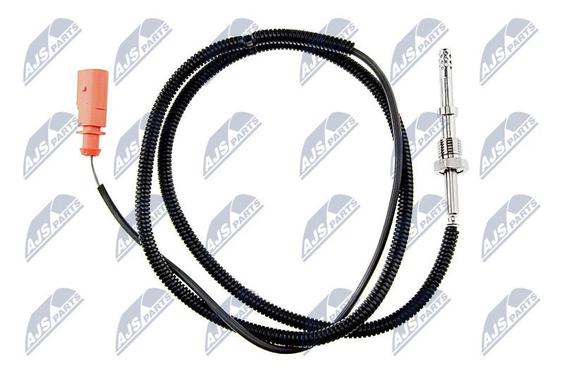 egt-vw-035_1-wm.JPG