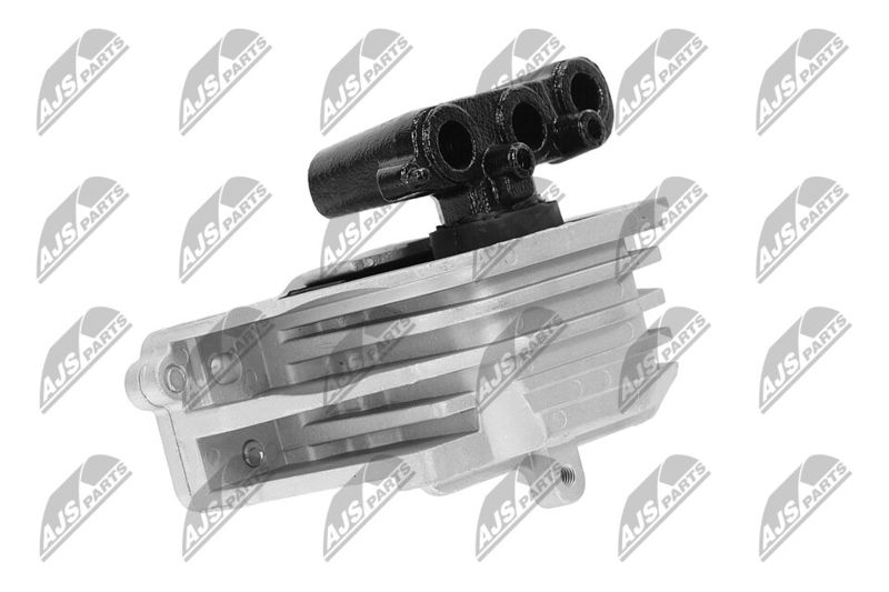 Paigutus, Mootor, NTY ZPS-CH-103