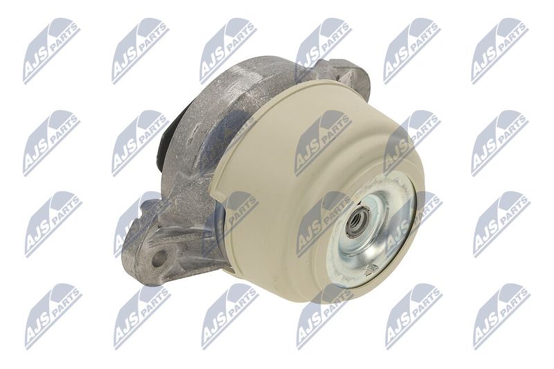 Paigutus, Mootor, NTY ZPS-ME-011