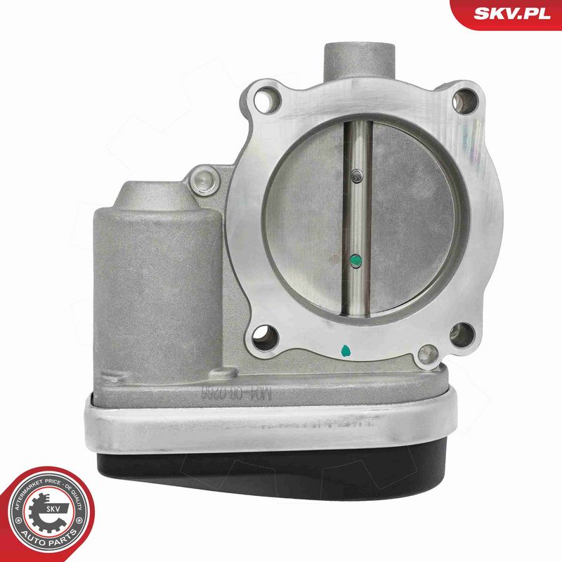 ESEN SKV 12SKV197 Throttle Body