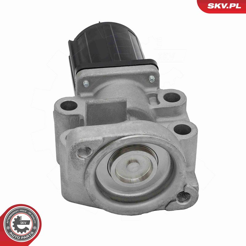 ESEN SKV 14SKV300 EGR Valve