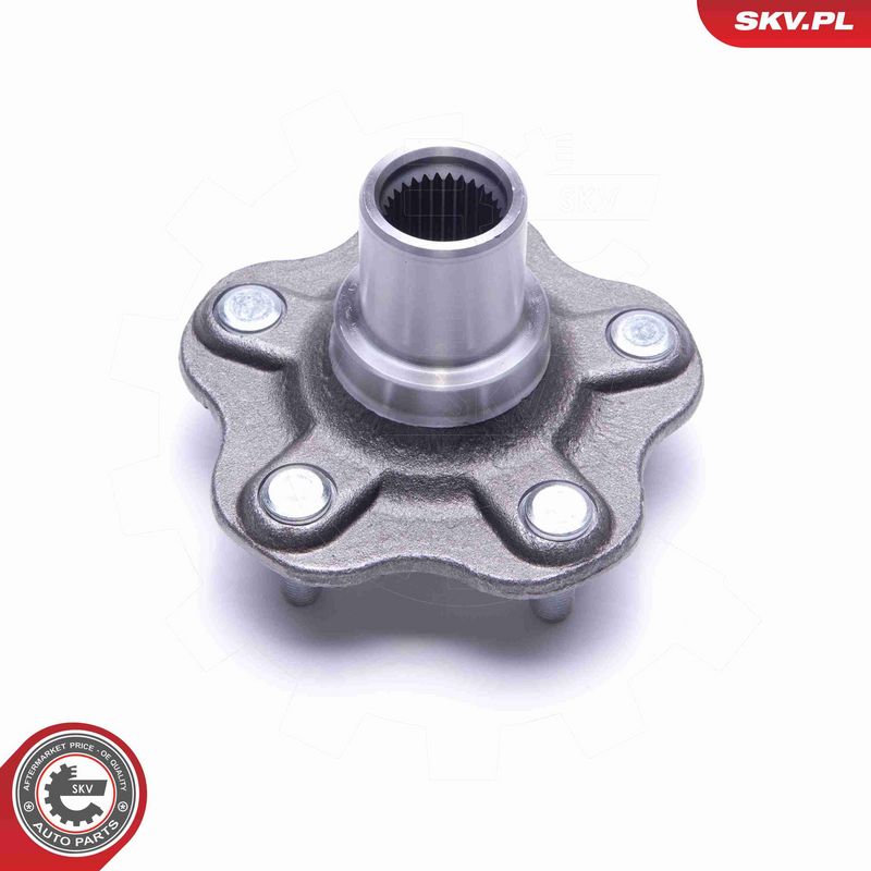 ESEN SKV 29SKV430 Wheel Bearing Kit