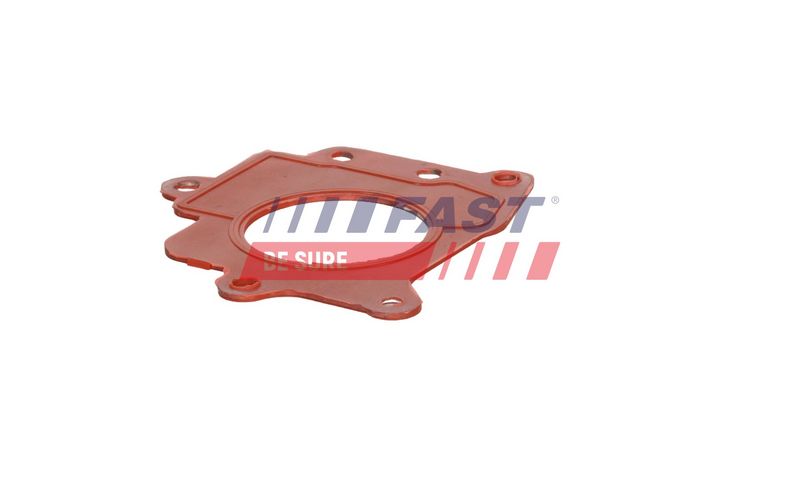 FAST FT12447 Gasket, EGR valve