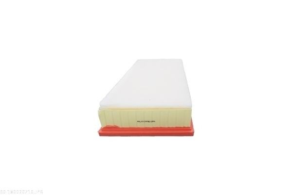 AUTOMEGA 180020710 Air Filter