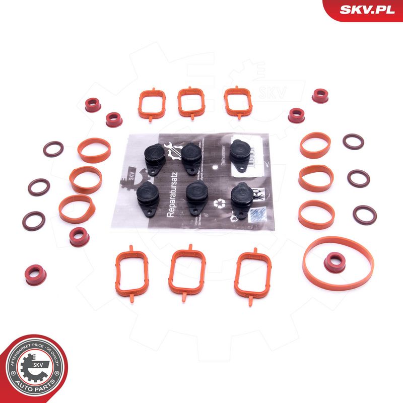 Remondikomplekt, imitoru moodul, ESEN SKV 49SKV569