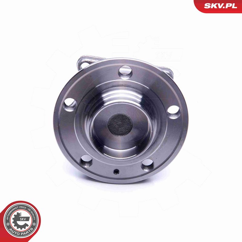 ESEN SKV 29SKV235 Wheel Bearing Kit