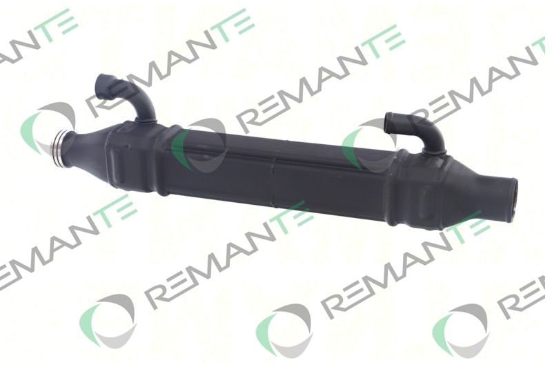 REMANTE 010-001-000022R - EGR Module