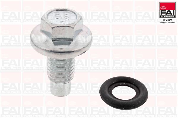 FAI AutoParts Alyvos išleidimo kaištis, alyvos karteris