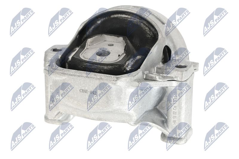 Paigutus, Mootor, NTY ZPS-AU-042