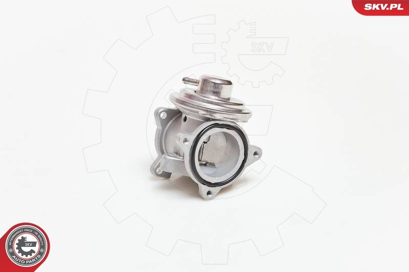 ESEN SKV 14SKV034 EGR Valve