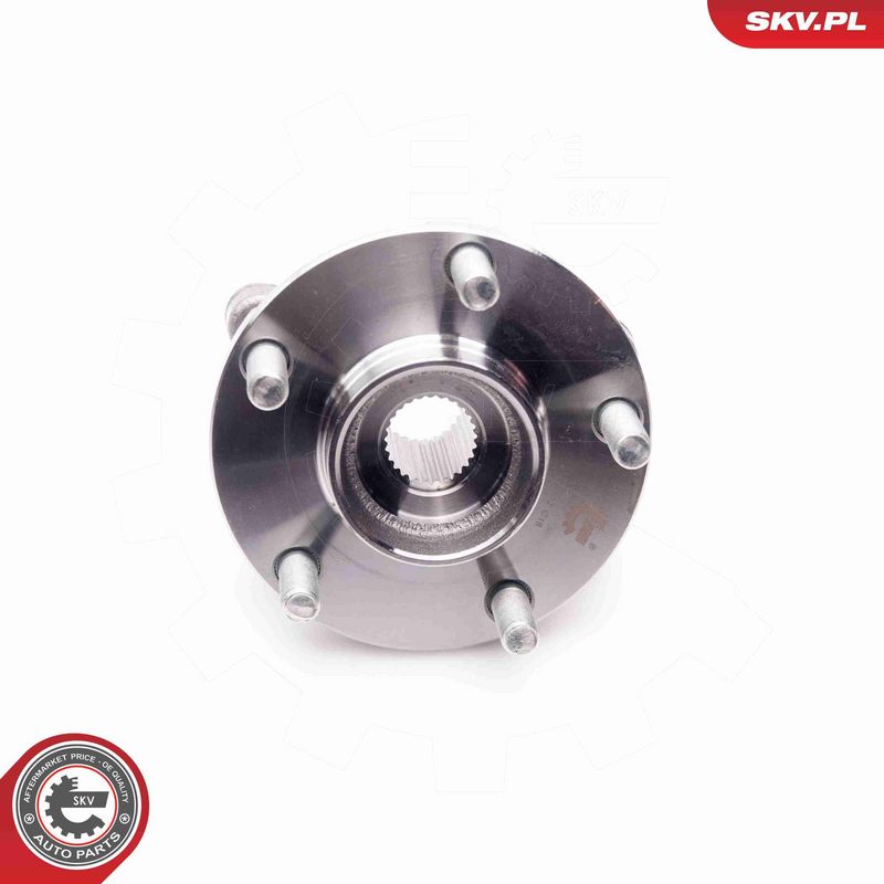 ESEN SKV 29SKV134 Wheel Bearing Kit