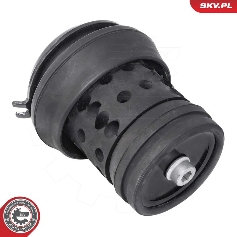 Paigutus, Mootor, ESEN SKV 75SKV239