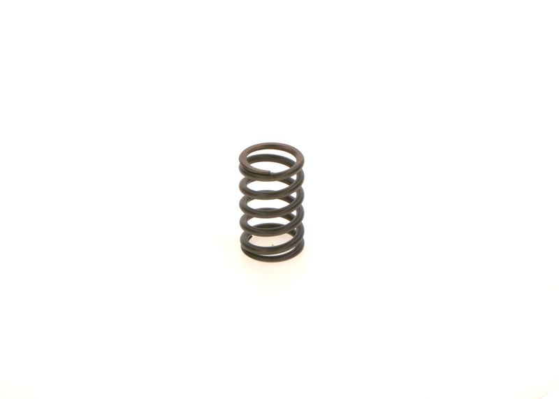 BOSCH 1414619025 Spring