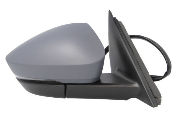 BLIC 5402-43-1925317P Exterior Mirror