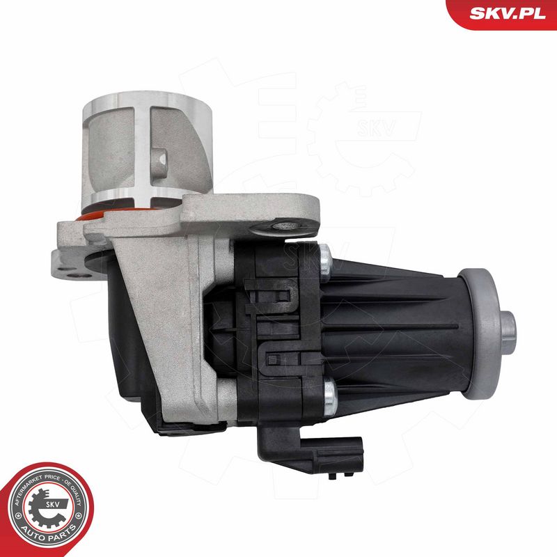 EGR-klapp, ESEN SKV 14SKV318